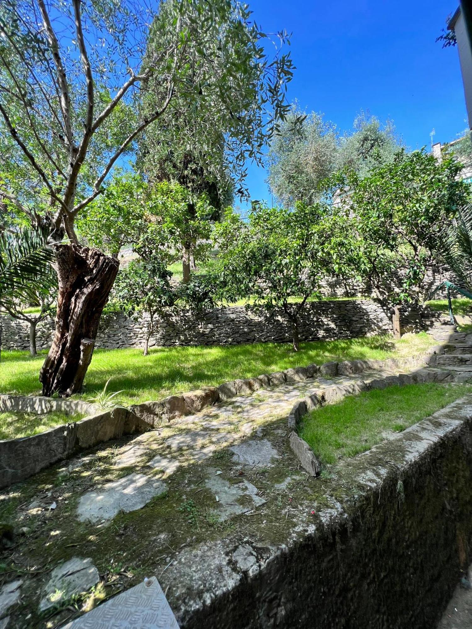 Blue Garden Daire Rapallo Dış mekan fotoğraf